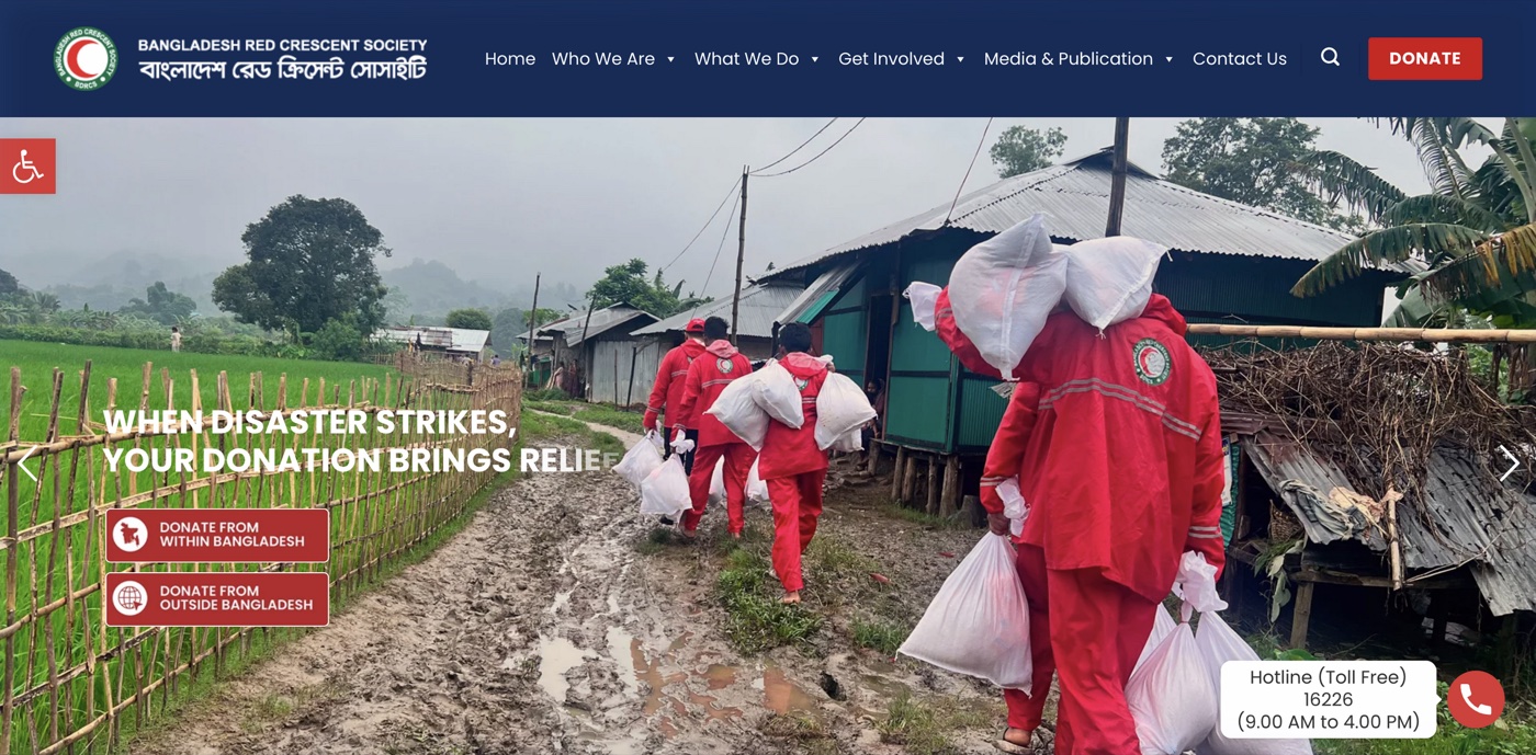 BDRCS website preview